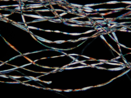 Numerous cotton fibers that appear colored on a black background.