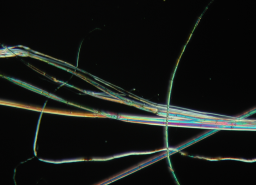 The hemp fiber bundle is separating.